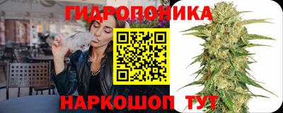 сатива Пенза