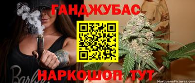 сатива Пенза