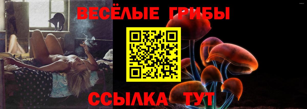 Псилоцибиновые грибы Cubensis Северобайкальск