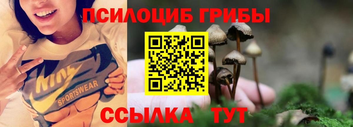 Северобайкальск  Псилоцибиновые грибы Psilocybe  Псилоцибиновые грибы прущие грибы  дарнет шоп  Вход с VPN 